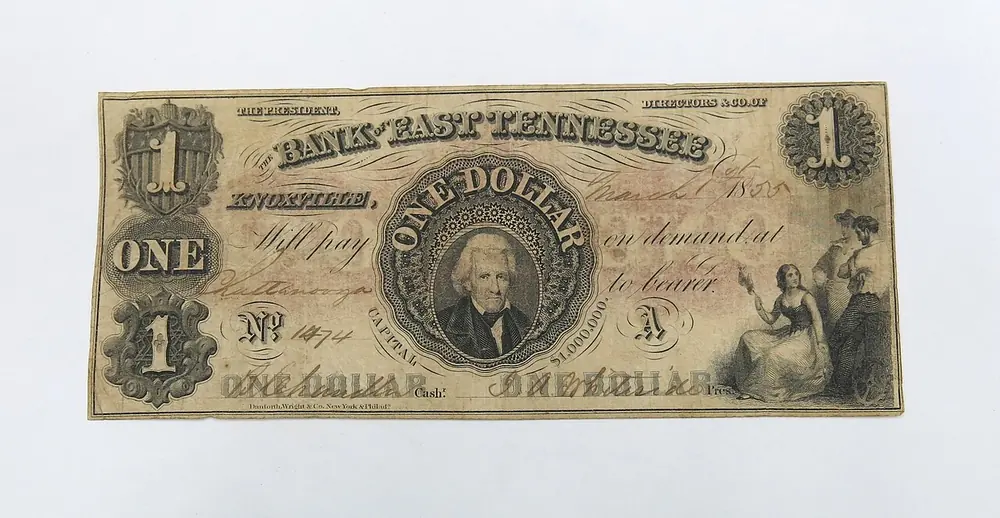 cash and banknotes