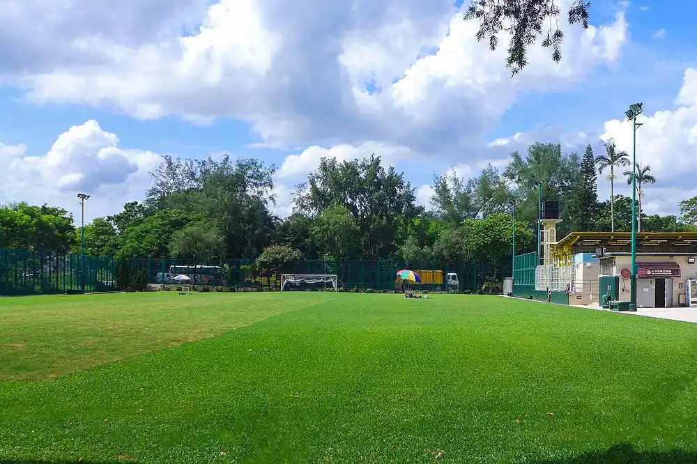 a football and pitch