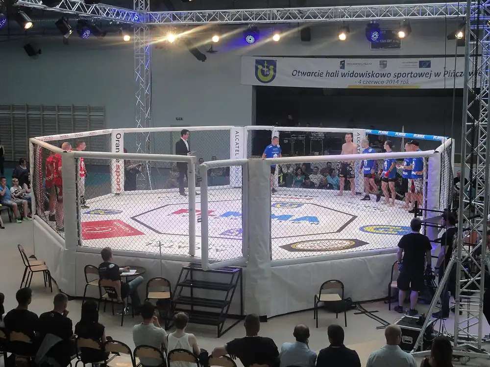 an MMA cage